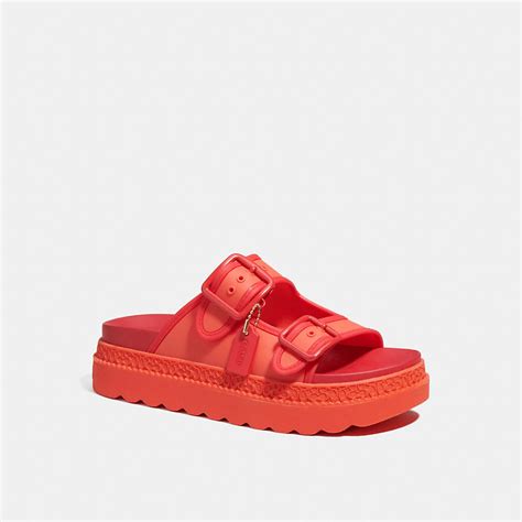 coach lucy sandal dupe